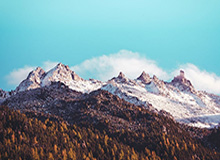 开云娱乐-【德甲】16岁神童创进球纪录 换帅多特客负柏林联盟