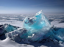 开云APP-送花环节延续，仪式感拉满！2026上海女子半程马拉松鸣枪起跑，8000名女性跑者用脚步诠释“她力量”